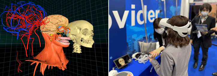 VRゴーグルとコントローラーで仮想空間にある人体模型が…「解剖学アプリ」